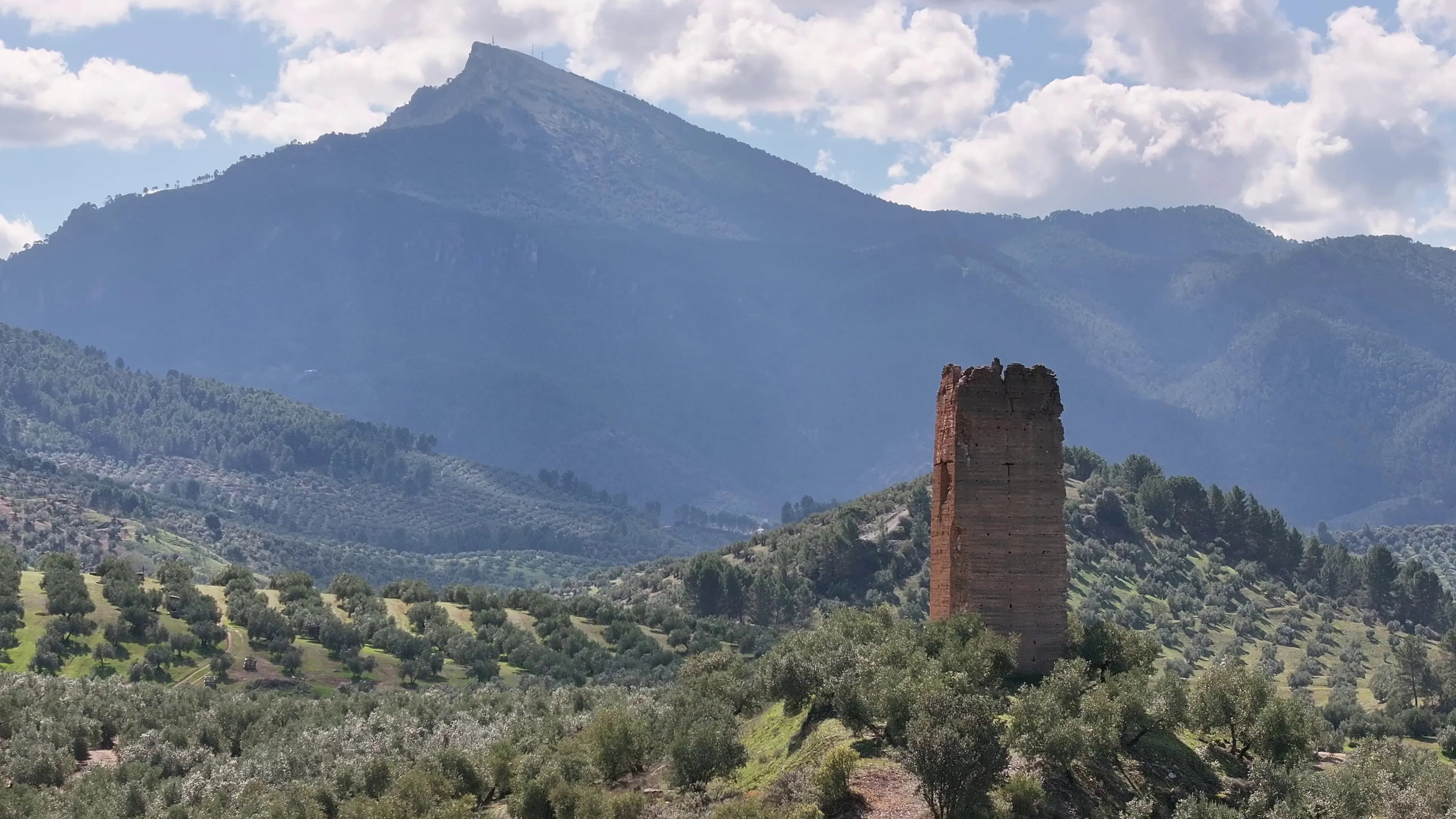 Torre de vigilancia entre olivares con la Sierra Mágina al fondo